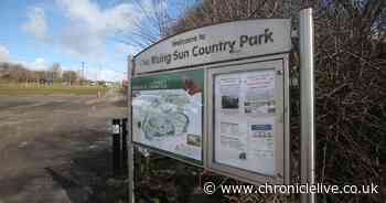Suspected arsonists start fire in country park during lockdown