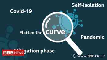 Coronavirus: What do all the terms mean?