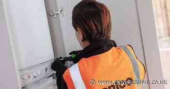 Gentoo to restart essential services for tenants from Monday after review