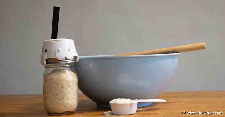 Sourd.io is like a fitness tracker for your sourdough starter