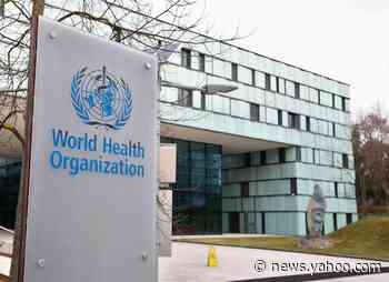 Explainer: Who's WHO? The World Health Organization under scrutiny