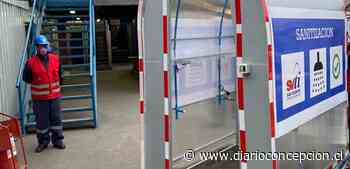 Puerto Coronel y Svti se suman a la implementación de túneles sanitizadores - Diario Concepción