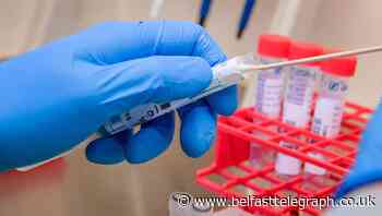 What is involved in the race to find a coronavirus vaccine?
