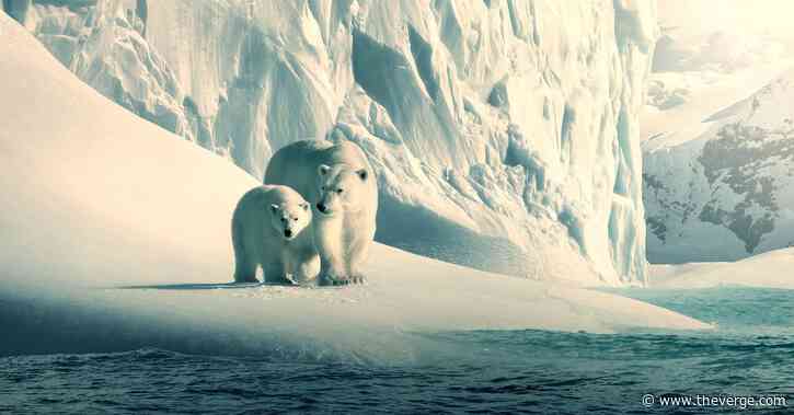 Netflix is making a bunch of documentaries free on YouTube