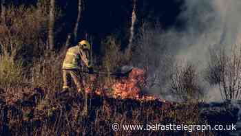 Lives of Tyrone firefighters and public put at risk by gorse blaze arsonists, says angry fire chief