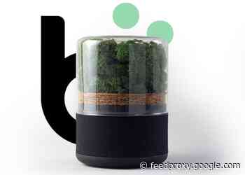 Briiv air filter uses 100% renewable and natural materials