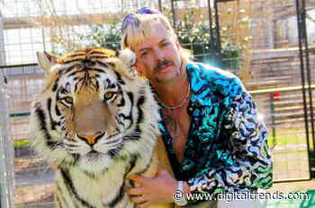All of the Tiger King spinoffs available now and on the way