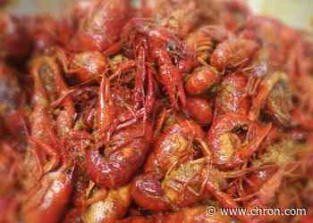 Houston is still social distancing, but there are food events and more this weekend - Chron