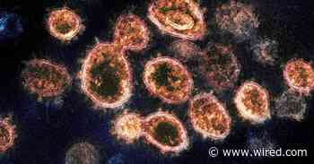 Here’s How Covid-19 Immunity Compares to Other Diseases