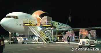 Coronavirus: Plane full of PPE lands in Edmonton from China - Global News