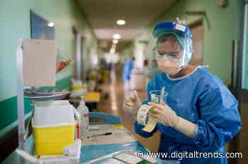 The WHO warns that coronavirus antibody tests won’t save us