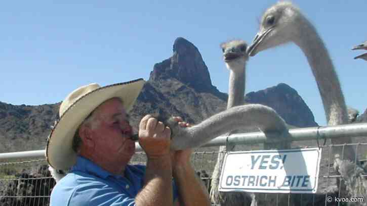 Rooster Cogburn Ostrich Ranch asking for donations to help feed animals during COVID-19 restrictions