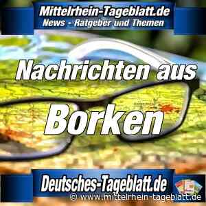 Kreis Borken - Corona-Update vom 29.03.2020: Im Kreis Borken fünfter Todesfall im Zusammenhang mit einer Coronavirus-Infektion - Mittelrhein Tageblatt