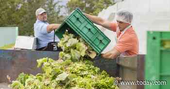 Farmers are throwing away tons of fresh food and dairy. Food banks want to change that