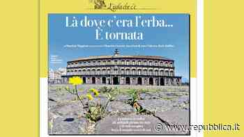 Robinson, là dove c'era l'erba, è tornata - La Repubblica