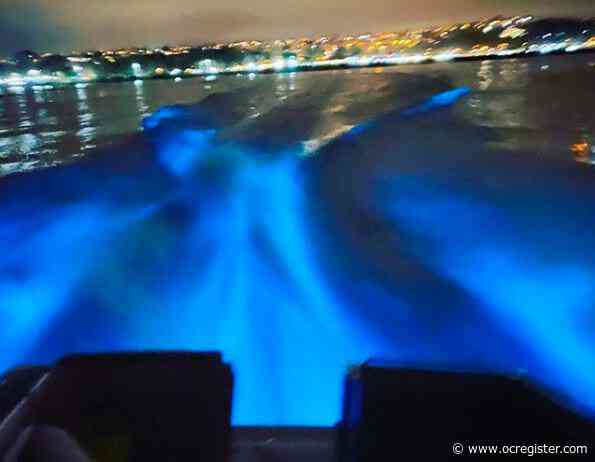 Harbor Patrol shares its own photo of glowing waves created by bioluminescence off Dana Point