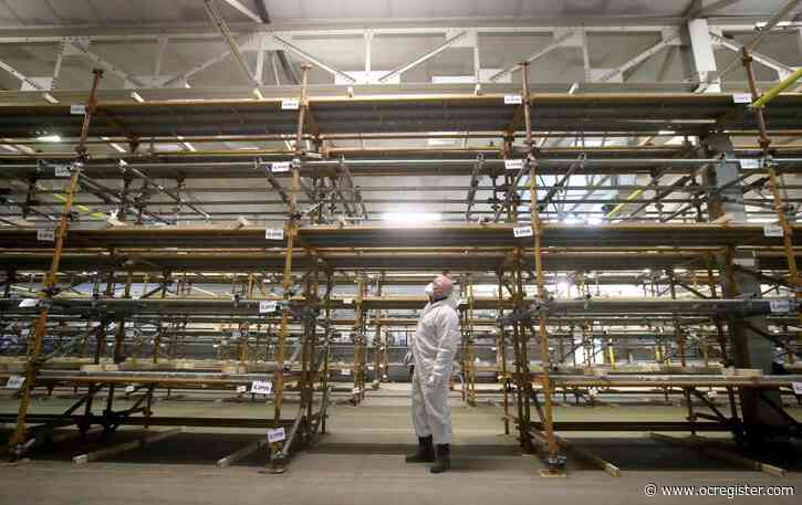 Coronavirus biz news: Walmart looks to hire 50K more; Boeing gets another setback