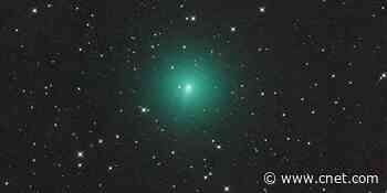 Comet Atlas is now in an all-out death dive towards the sun     - CNET