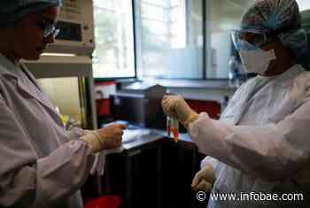 Coronavirus: ya son 13 los laboratorios de la provincia de Buenos Aires que realizan el testeo para diagnostic - infobae
