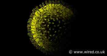 The UK keeps underestimating coronavirus deaths. Here’s why