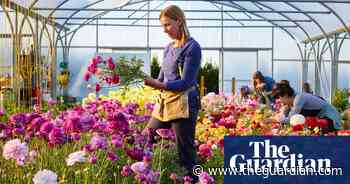 'The flowers don't know we're in lockdown': farm donates blooms to key workers