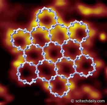 A Profound Leap Forward: Pushing the Limits of 2D Supramolecules