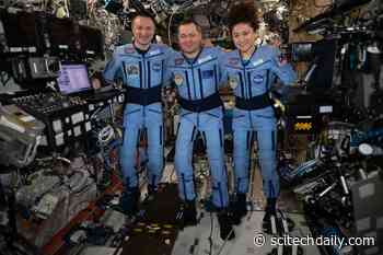 NASA Astronauts Meir, Morgan, Crewmate Skripochka Return to Earth From Space Station