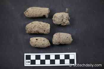 The Origin of Feces: Using AI & DNA to Reliably Predict Sources of Ancient Poop