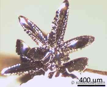 Investigation Into Novel Physics in Troilite Could Enable Spintronic Computing