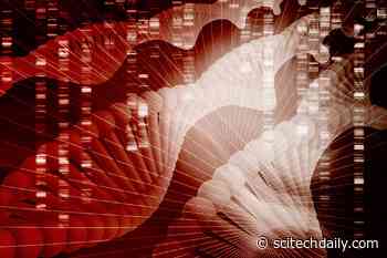 Genetic Self-Destruct – Some Worms Programmed to Die Early for Sake of Colony