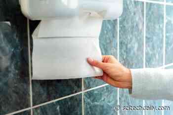 Paper Towels Much More Effective at Removing Viruses Than Hand Dryers