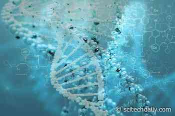 After More Than 40 Years, Evidence Found for Existence of Elusive ‘Metabolon’