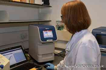 University of York loans Covid-19 diagnosis machine to York Hospital