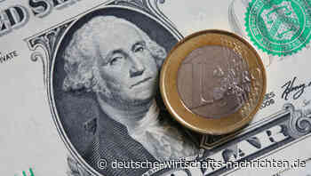 Dollar-Anteil an Währungsreserven sinkt: Wollen die Notenbanken nun den Euro als Leitwährung einführen?
