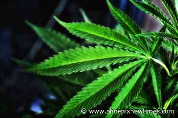 How to Get a Medical Marijuana Card Without Any Qualifying Conditions - Phoenix New Times