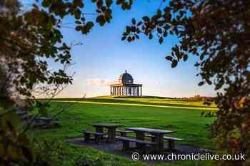 Passionate People, Passionate Places: Sedgefield is bursting with passion