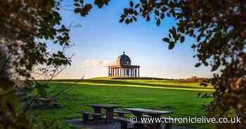 Passionate People, Passionate Places: Sedgefield is bursting with passion