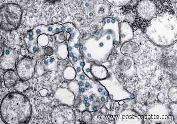 Allegheny County reports more than 1,000 cases of COVID-19