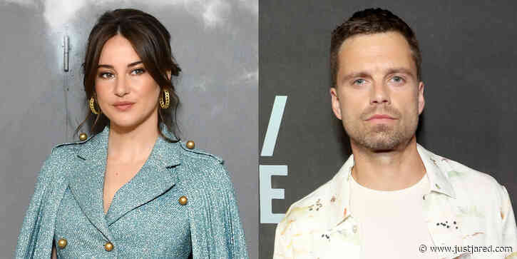 Shailene Woodley Belts Out Karaoke Tunes With 'Endings, Beginnings' Co-Star Sebastian Stan