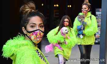 Farrah Abraham sports matching fluro with Sophia and fur dyed dogs during attention seeking outing
