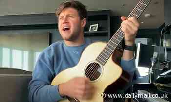 Niall Horan leads British stars in Global Citizen One World: Together at Home