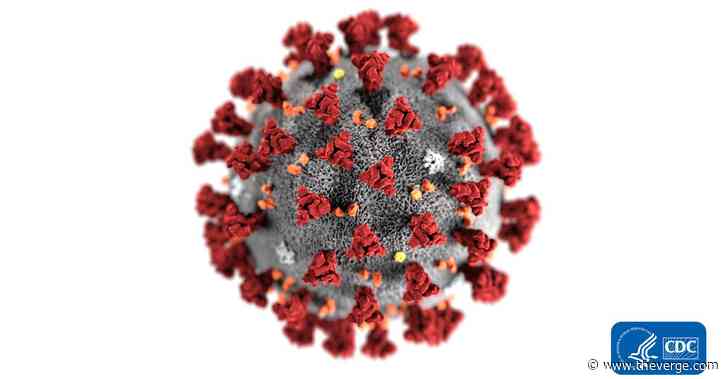 Instagram’s cofounders built a website to track state-by-state spread of COVID-19