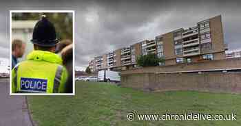 Police snare burglary suspect with hand in Washington flat window