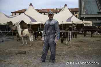 It's potatoes, again, for circus animals in Italy lockdown