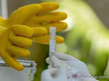 WHO warns that coronavirus antibodies can't guarantee long-term immunity