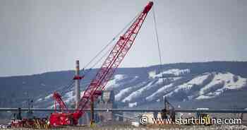 Island restoration project in Duluth aims to end bird rivalry