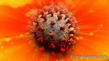 Sunlight destroys virus quickly, new govt. tests find, but experts say pandemic could last through summer