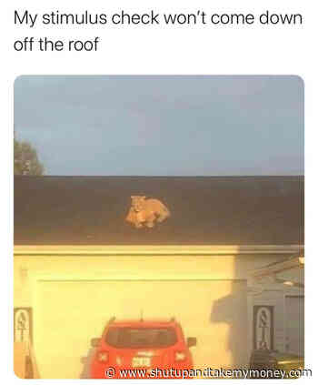 My Stimulus Check Won’t Come Down Off The Roof – Meme