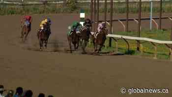 Coronavirus: Marquis Downs is hoping for a 51st racing season