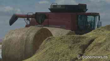 Central Alberta farmers face delayed spring season amid COVID-19 outbreak